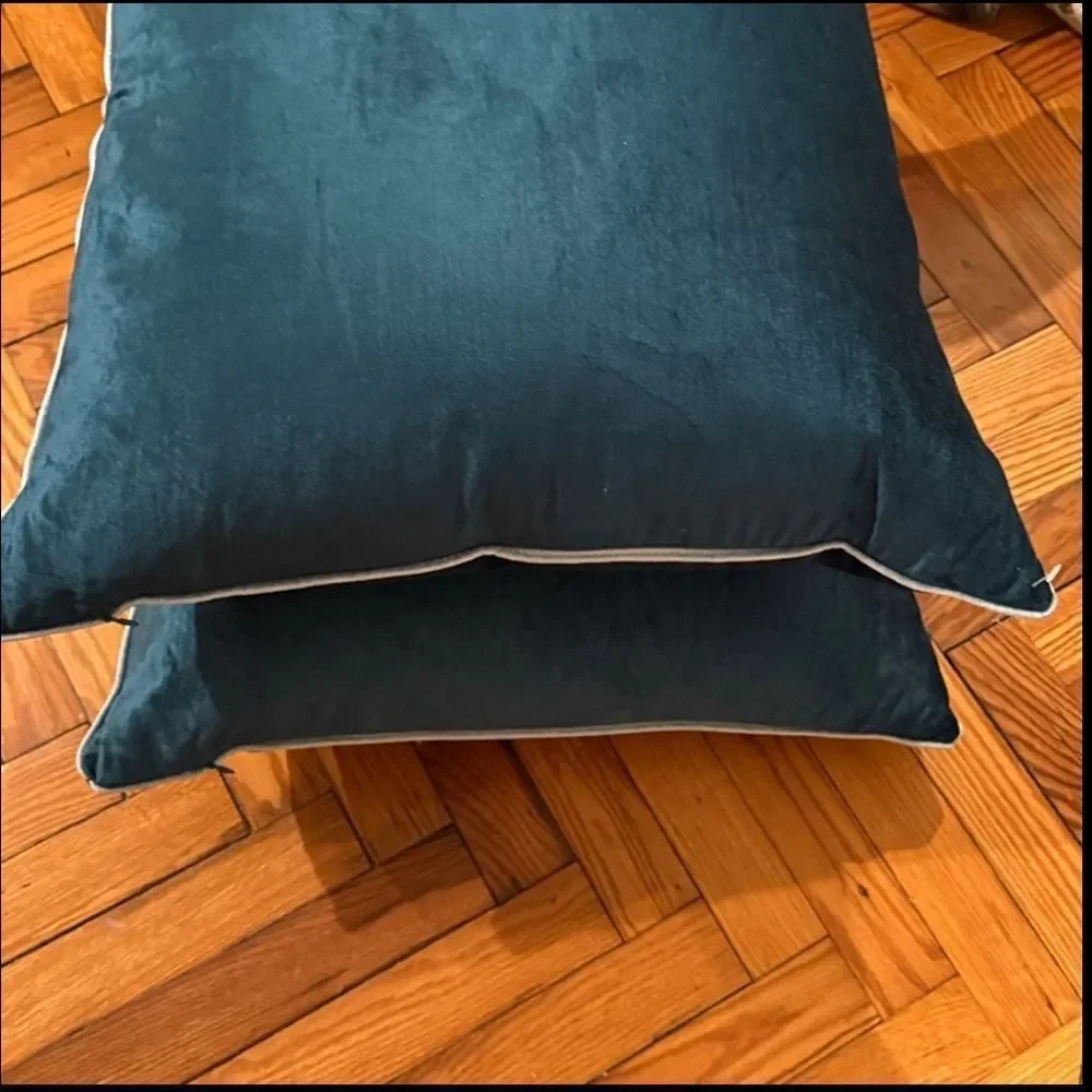 New Anthropologie Adelina Velvet Pillow One Size